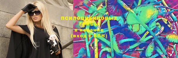 мяу мяу мука Новокубанск